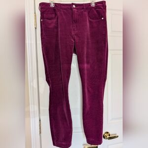 Pilcro Corduroy Jeans in Deep Wine